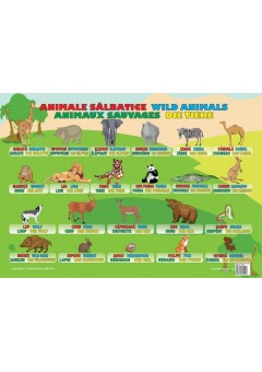 Animale Salbatice (plans..