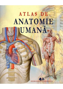 Atlas de anatomie umana..